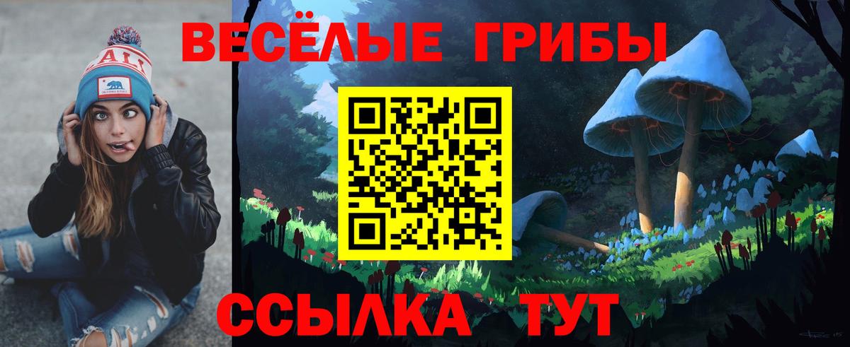 Галлюциногенные грибы MAGIC MUSHROOMS  Вход с VPN  Ижевск 